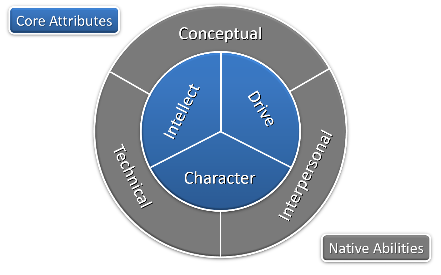 The Whole Consultant Model